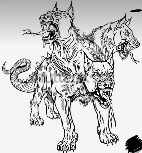 3 Headed Dog, Tattoo Perro, Three Headed Dog, Hades Tattoo, Hell Hounds, Hell Hound, Greek Monsters, Dog Human, Cool Cartoon Drawings