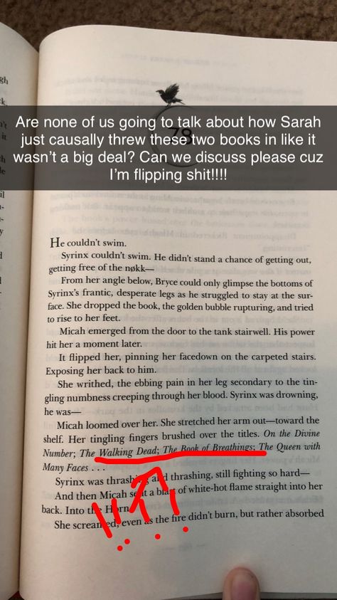 Let the theories begin Credit to:@literary_heathen #sarahjmaas #crescentcity #houseofearthandblood #acotar #tog Crescent City And Acotar, Acotar And Crescent City, Acotar Fan Theories, Sjm Universe Theories, Crescent City Acotar, Acotar X Tog, Sjm Theories, Acotar Tog Crossover, Sarah J Maas Theories