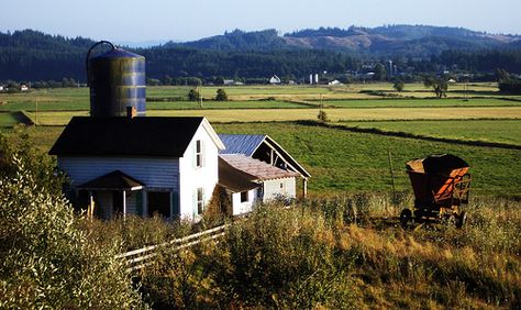 Oregon farmland. Albany Oregon, Oregon State, Farm Art, Rural Area, Down On The Farm, Family Farm, Pacific Northwest, Love Photography, North West