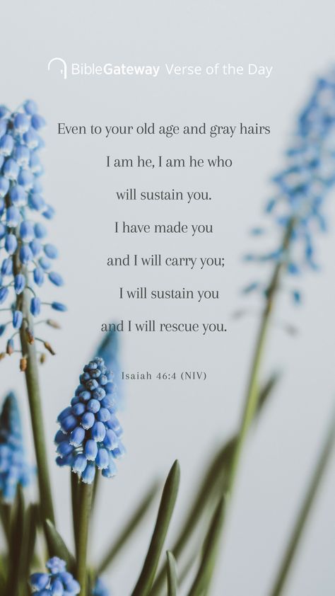 I Have Made You I Will Carry You, God Will Sustain You, I Will Sustain You Verse, I Will Carry You, Isaiah 46:3-4, Isaiah 46 4 Wallpaper, Isaiah 46:4, Isaiah Scriptures, Blessed Scripture