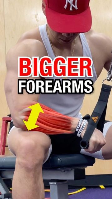 Andrew Kwong on Instagram: "✅ DO THESE to build BIGGER forearms! Shop SUPERHUMAN BURN pre-workout/fat burner (use code “DELTA” for 15% off). Link in bio. #besuperhuman #alphalion #forearms #forearmworkout #forearmsworkout #forearmexercise" Bigger Forearms, Big Forearms, Forearm Workout, Fitness Trends, Pre Workout, Fat Burner, Arm Workout, How To Grow, Gym Workout