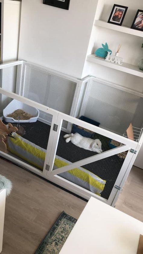 Rabbit In Bedroom, Bunny Set Up Indoor Cute, Diy Bunny Cage, Indoor Rabbit House, Bunny Care Tips, Indoor Rabbit Cage, Rabbit Enclosure, Bunny Cage, Rabbit Habitat