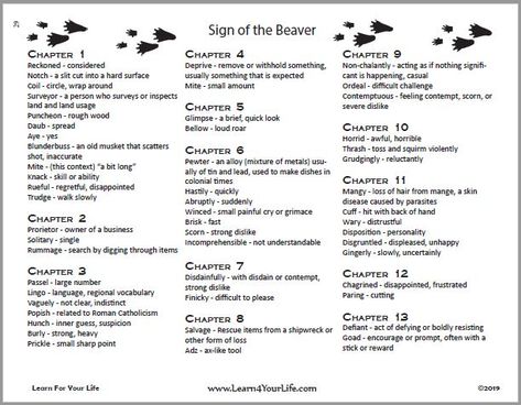 Sign Of The Beaver Projects, Sign Of The Beaver, Words And Definitions, Literature Unit Studies, Literature Project, Mentor Sentences, Free Homeschool Curriculum, Student Guide, Novel Study