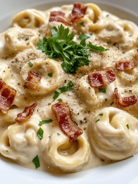 Tortellini Alfredo Recipes, Bacon Tortellini Alfredo, Bacon Tortellini, Bacon Alfredo Pasta, Alfredo With Bacon, Bacon Alfredo, Tortellini Alfredo, Creamy Alfredo Sauce, Alfredo Recipe