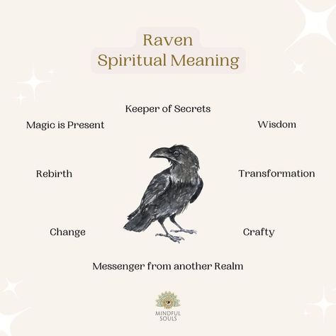 Crow Meaning, Raven Spirit Animal, Spirit Animal Meaning, Spiritual Animal, Secret Keeper, Animal Spirit Guides, Animal Guides, Spiritual Tattoos, Magick Book