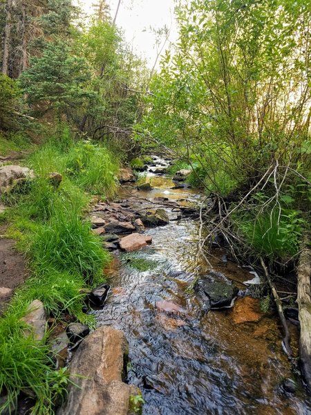 An out-and-back trail in North Woodland Park. Near Woodland Park, Colorado. Woodland Park Colorado, Colorado Springs Vacation, Old Cabins, Colorado Trip, Family Hiking, Woodland Park, Rosetta Stone, Trail Hiking, Colorado Vacation