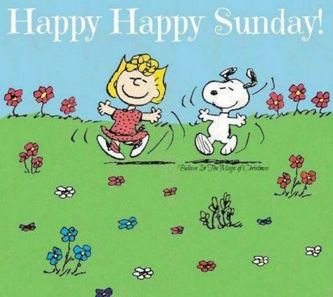 Happy, Happy Sunday! ("Happy Happy Sunday Snoopy Quote good morning sunday sunday quotes good morning…") --Peanuts Gang/Snoopy & Sally Sally Brown, Peanuts Cartoon, Peanuts Characters, Snoopy Quotes, The Peanuts, Snoopy Love, Charlie Brown Peanuts, Charlie Brown And Snoopy, Peanuts Gang