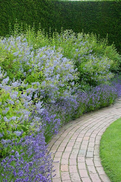 Beautiful perennial bordered brick walkway   ..rh Classy Garden, Walkway Design, Brick Path, Walkways Paths, Cottage Gardens, Have Inspiration, The Secret Garden, Garden Path, Garden Pathway