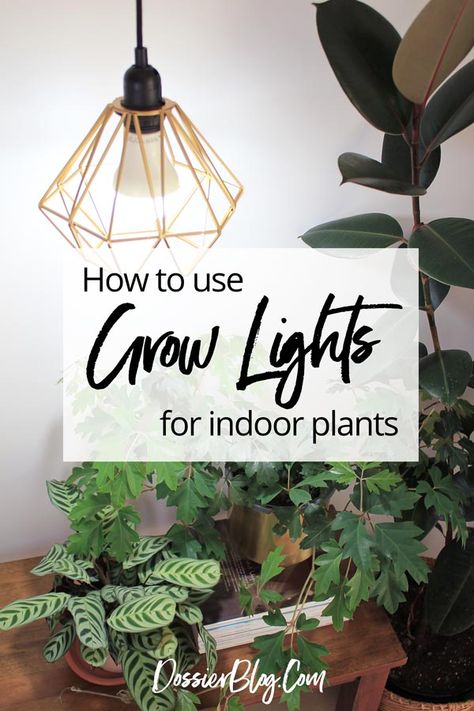 Grow Lights Diy, Grow Plants Indoors, Indoor Plant Lights, Indoor Grow Lights, Best Grow Lights, Best Led Grow Lights, Indoor Plant Wall, Grow Light Bulbs, Indoor Greenhouse