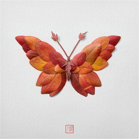 New Flower Arrangements Formed Into Exotic Butterflies and Moths by Raku Inoue | Colossal Butterfly Leaf Art, Leaf Butterfly Craft, Art Made With Nature, Art Forms Ideas, Skeleton Leaf Art Crafts, Leaf Butterfly, Art With Nature, Petal Art, Leave Craft