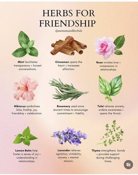 Friendship Herbs Witchcraft, Flower Meaning Friendship, Herbs For Friendship, Communication Herbs Witchcraft, Herbs For Communication Spells, Communication Herbs, Friendship Witchcraft, Friendship Rituals, Herbs For Communication