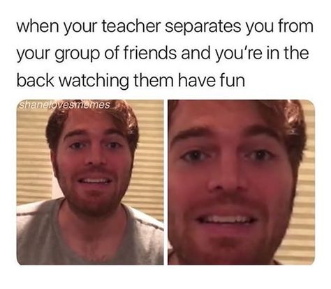 Annoying Teachers, Funny Kanye, Grumpy Cats, 9gag Funny, Meme Comics, Humor Videos, Carl Grimes, Andrew Lincoln, Memes Anime