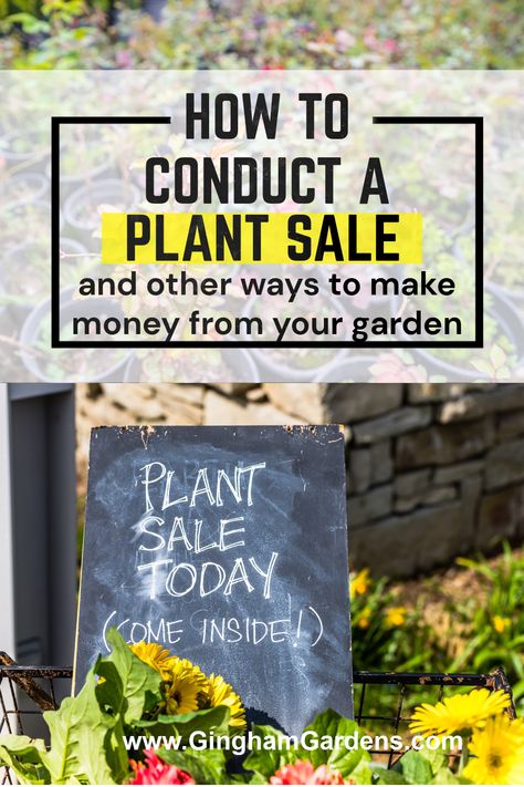 Selling Plant Starts, Selling Seedlings, Selling Plants From Home, Plant Sale Ideas, Plant Packaging, Diy Mini Greenhouse, Selling Plants, Business Mind, Garden Flowers Perennials