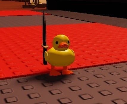 Roblox Duck, Streaming Ideas, Duck Memes, Lucky Ducky, Duck Pictures, Duck Wallpaper, Cute Ducklings, Funny Duck, Silly Photos