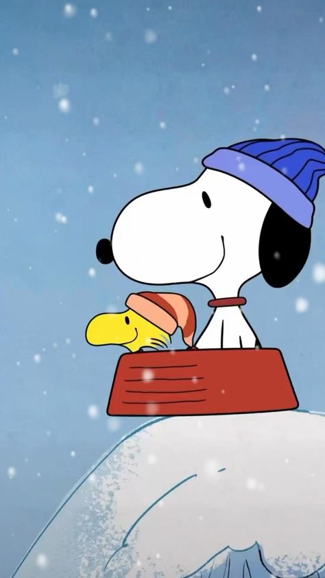 Snoopy Christmas Quotes, Snoopy Video, Snoopy Friday, Snoopy New Year, Snoopy Videos, Snoopy Winter, Santa Jokes, Peanuts Wallpaper, Good Morning Snoopy