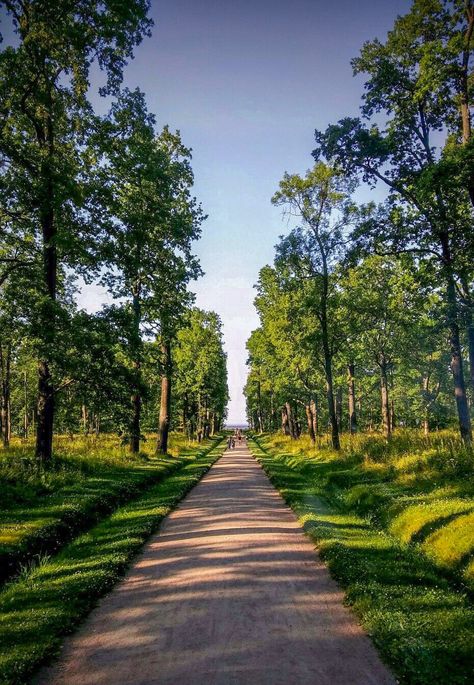 Tree-lined path [photographer and location unknown] 🌲cr. Road Lines, Location Unknown, Nature Hd, Back Road, Tree Line, Scenic Drive, Amazing Photos, Lake House, Planting