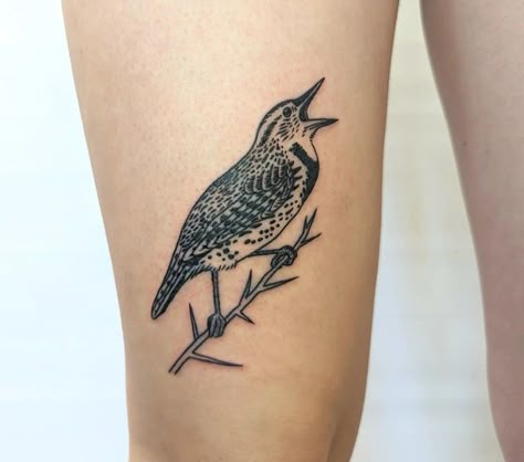 Illustrative Bird Tattoo, Western Meadowlark Tattoo, Northern Flicker Tattoo, Tern Tattoo, Meadowlark Tattoo, Starling Tattoo, Woodpecker Tattoo, Mindfulness Tattoo, Wren Tattoo