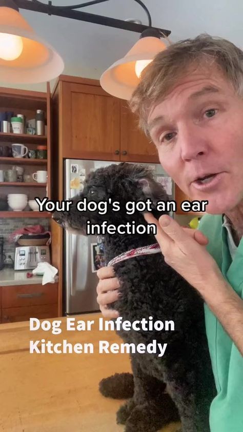 Kitchen Remedy for Dog Ear Infections, skin infections and Weight Loss | Dr. Andrew Jones - Veterinary Secrets | Dog Ear Infections, Foods Dogs Can Eat, Dogs Ears Infection, Puppy Breath, Andrew Jones, Vet Medicine, Ear Infections, Instagram Kitchen, Dog Ideas