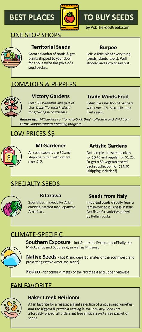 Best places to buy vegetable seeds for your garden (& cost comparison) Vegetable Seeds Packets, Seed Companies, Victory Garden, Buy Seeds, Seed Catalogs, Vegetable Seeds, Fruit Seeds, Pepper Seeds, Seed Company