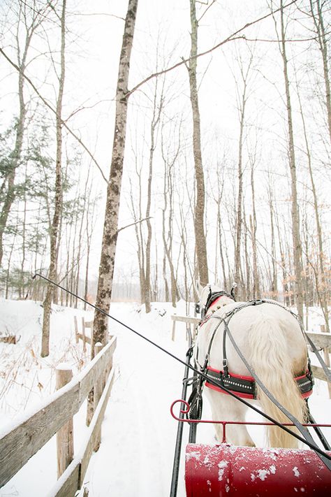 Stowe Vermont Winter, Vermont Winter, Stowe Vt, Stowe Vermont, Im Falling In Love, Sleigh Ride, Amazing Ideas, Winter Vacation, Winter Travel