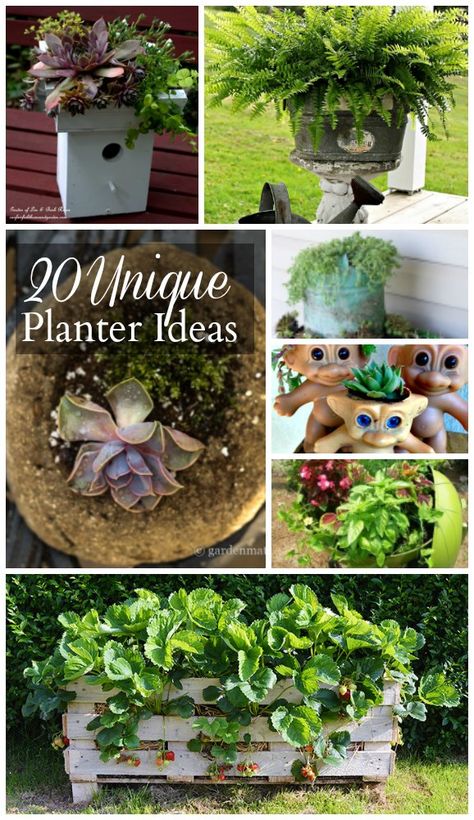 Be inspired by 20 unique planter ideas from talented bloggers all over the net. Unusual planters can add whimsy and fun to your outdoor decor. Unusual Planters Ideas, Unique Planter Ideas, Aesthetic Crazy, Unusual Planter, Unique Planters, Diy Herb Garden, Container Garden Design, Garden Junk, Free Aesthetic