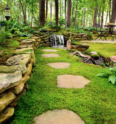 Moss Lawn, Growing Moss, Moss Garden, Ground Cover Plants, Have Inspiration, The Secret Garden, Woodland Garden, Green Forest, Garden Stones