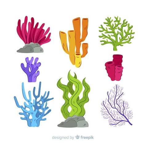 Hand drawn coral collection Premium Vect... | Premium Vector #Freepik #vector #coral #sea-coral #sea-plants #sealife Ocean Activities Preschool, Coral Drawing, Coral Collection, Cartoon Template, Plant Cartoon, Coral Draw, Sea Plants, Cartoon Style Drawing, Frame Border Design