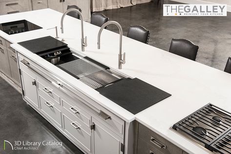 Galley Kitchen Sink, Galley Sink, Kitchen Work Station, Award Winning Kitchen, Sink Sizes, Chief Architect, Galley Kitchen, Building Material, Old Kitchen