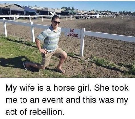 This guy is a legend! www.justhorseriders.co.uk  #equestrian #horsegirl #justhorseriders #horseriding #horselife #horselover #equestrianlife Equestrian Memes, Horse Sayings, Funny Horse Memes, Horse Humor, Horse Meme, Horse Memes, Horse Quotes Funny, Horse Jokes, Equestrian Quotes