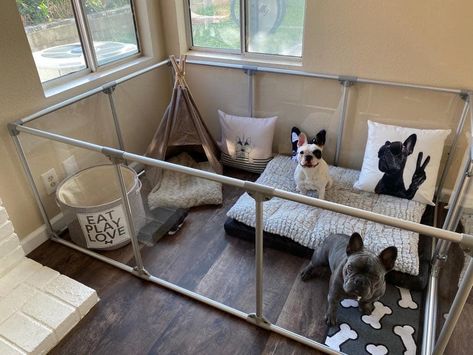 Dog Pen Area Indoor, Dog Area For Two Dogs, Indoor Dog Run Ideas, Indoor Dog Enclosure, Clear Dog Pen, Dog Pens Indoor, Dog Area Ideas Indoor, Dog Spaces In House Bedrooms, Puppy Area Indoor Apartment