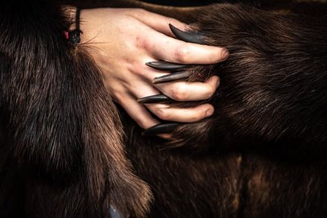 Bear Shifter Aesthetic, Bear Therian, Bear Meaning, Bear Aesthetic, Livestock Guardian Dog, Cave Bear, Bear Attack, Forest Habitat, Brown Bears