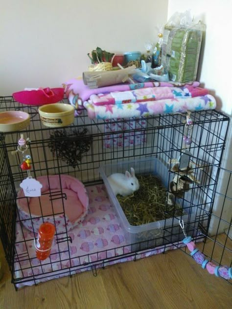 Diy Bunny Cage, Rabbit Houses, Diy Rabbit Cage, Indoor Rabbit Cage, Small Dog Crate, House Bunny, Pet Rabbit Care, Flooring Diy, Rabbit Ideas