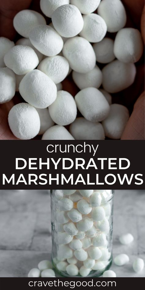 How To Make Dehydrated Marshmallows, Dehydrating Marshmallows In Dehydrator, Dehydrated Marshmallows In Oven, How To Dehydrate Marshmallows, Dehydrating In Air Fryer, Dehydrate Marshmallows, Dehydrated Marshmallows, Dehydrated Food Recipes, Dried Fruit Recipe