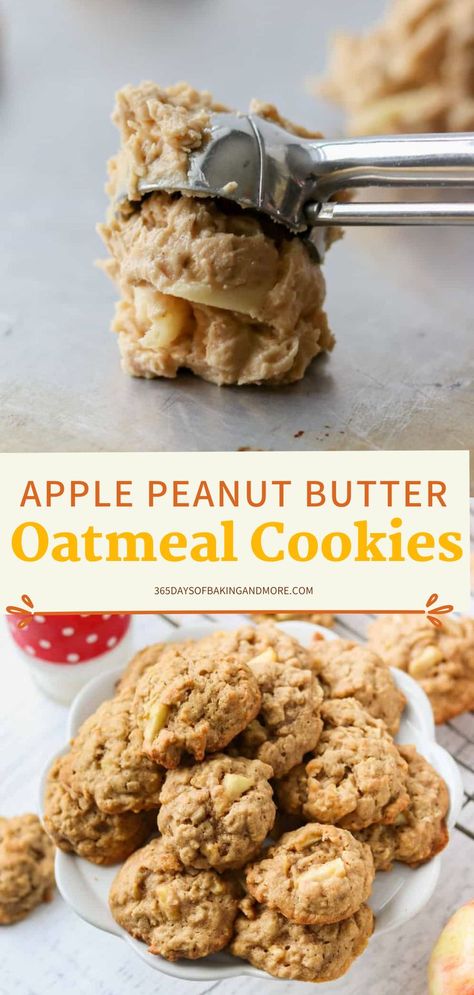 Apple Peanut Butter Cookies, Peanut Butter Apple Cookies, Apple Butter Cookies, Oatmeal Treats, Apple Peanut Butter, Applesauce Cookies, Peanut Butter Apple, Baking Therapy, Apple Oatmeal Cookies