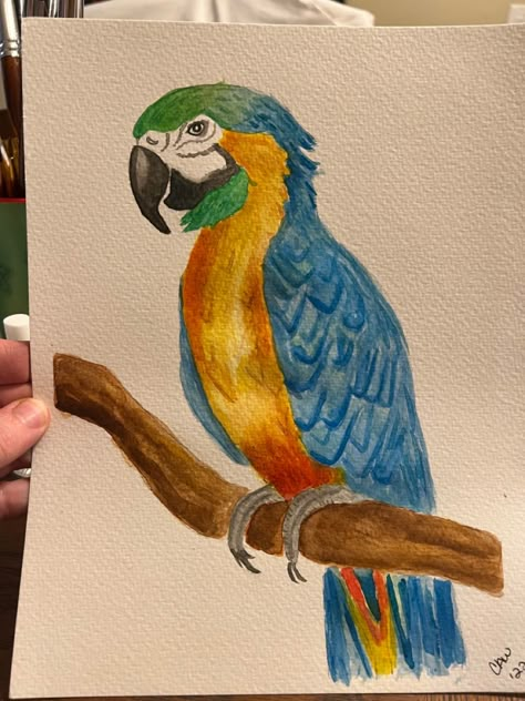 Drawings Of Parrots, Parotts Bird Drawing, Macaw Parrot Drawing, Parrot Drawing Pencil, Pencil Colours Art Drawings, Macaw Parrot Drawing Easy, A Parrot Drawing, Parrot Simple Drawing, Green Parrot Drawing