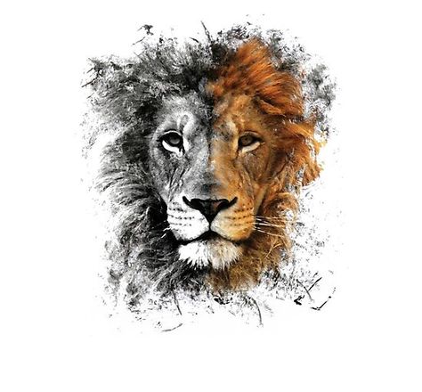 Lion Face, Temporary Tattoos, Lion, Tattoos, White, Art