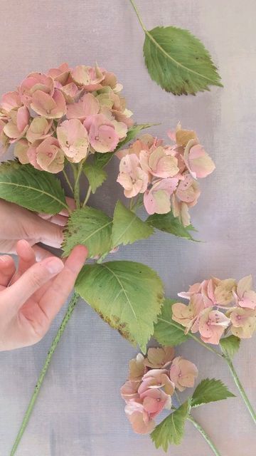 Paper Hydrangea, Cafe Au Lait Dahlias, Paper Botanicals, Crepe Paper Flowers Tutorial, Crepe Paper Flowers Diy, Paper Dahlia, Handmade Flowers Fabric, Paper Flower Crafts, Paper Flower Template