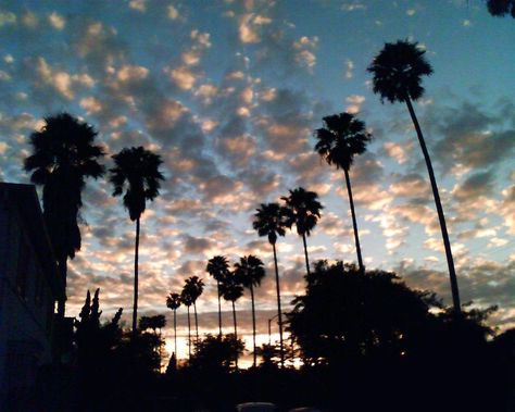 View Park–Windsor Hills, California - Wikipedia Leimert Park, Neon Nights, Evening Sky, California Dreaming, Echo Park, Silver Lake, Sunset Views, Seattle Skyline, My Dream Home