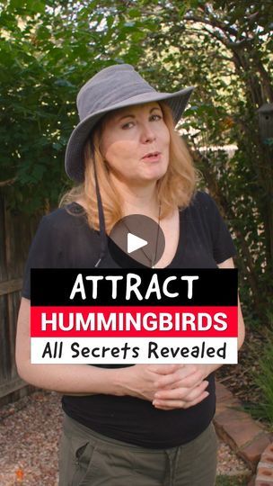 507K views · 7.7K reactions | Here’s how to attract hummingbirds and get them to come back year after year. 🍭 In this series, I'll share every detail I know about getting these flying gems to show up and stay awhile. ☝️ This is part 1, covering the importance of fresh sugar water and how to attract more hummingbirds than your neighbors. I'll also share my favorite hummingbird feeder to deter wasps and bees. ✌️ Part 2 covers the importance of cleaning your feeders and how to make sugar water. 🌺 Many more hummingbird-attracting suggestions to come. ❤️ Thank you for being here and enjoying the birds with me. #hummingbird #alison_kondler #LearnOnFacebook #birdlady #birdingbyear | Birding By Ear | Birding By Ear · Original audio Hummingbird Food, Hummingbird Nectar, Attract Hummingbirds, Hummingbird Feeder, How To Attract Hummingbirds, Humming Bird Feeders, Secrets Revealed, Bird Garden, Hummingbirds