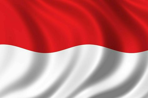 Flag of Indonesia Women's Army Corps, Indonesian Flag, Flag Wallpaper, Business Cards Creative, Cheer Skirts, Indonesia, Flag