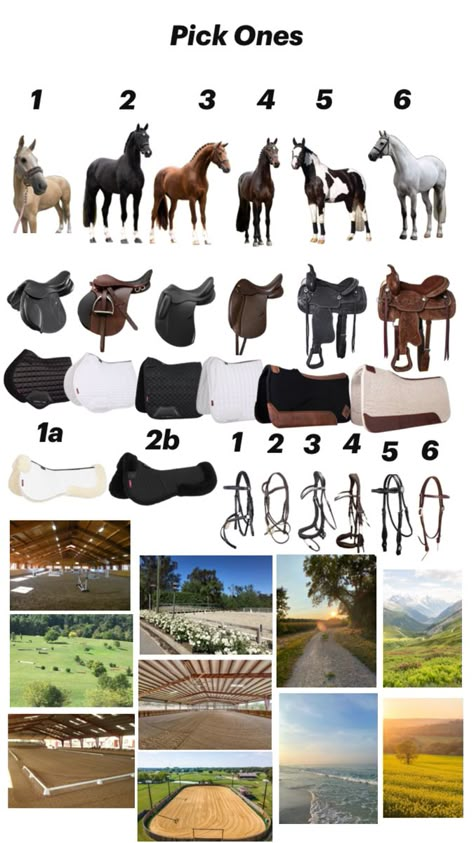 Cute Horse Pictures, Horse Posters, Rodeo Life, Star Stable, Survival Techniques, Horse Drawing, Cute Horses, Horse Life, Horse Training