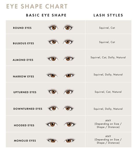 Eye shape chart for eyelash extensions Style Of Lash Extensions, Eyelash Shape Chart, Eyelash Extensions Size Chart, Eye Shape Makeup Chart, Types Of Eyelashes Extensions, Lash Extensions Shapes, Lashes For Eye Shapes, Eye Shape Chart Types Of, Lash Map Eye Shape