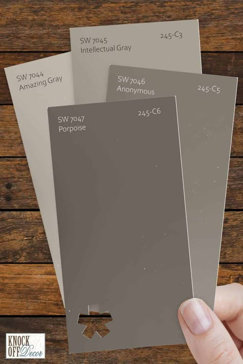 White Cabinets Charcoal Countertops, Paint Colors That Dont Show Dirt, Pediment Sherwin Williams Exterior, Sherwin Williams Porpoise Coordinating Colors, Sw Porpoise Bedroom, Sw Hardware Paint, Sw Porpoise Cabinets, Rustic Cabin Paint Colors, Sherwin Williams Porpoise Exterior