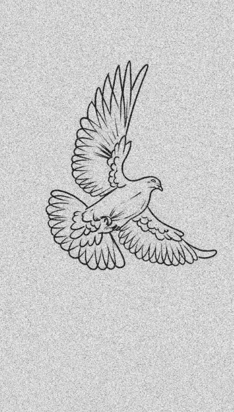 Tattoo Pigeon, Pigeon Sketch, Pigeon Drawing, Pigeon Tattoo, Homing Pigeons, Wood Pigeon, Pigeon, String Art, Drawing Sketches