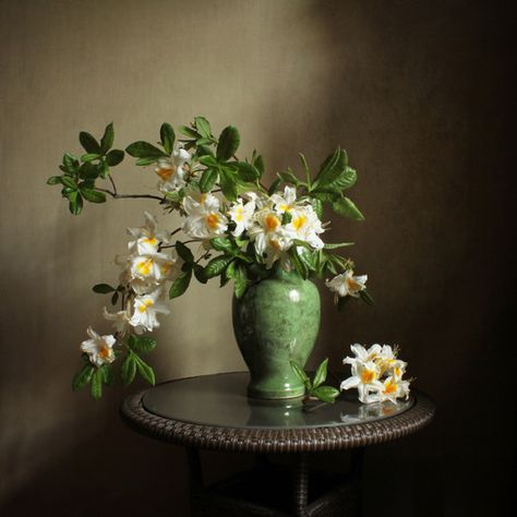 #Still #Life #Photography Букет© galka63 Flowers In Vase Photography Still Life, Still Life Flowers Photography, Flowers In Vases, Still Life Pictures, Still Life Flowers, Flower Vase Arrangements, Still Life Photos, Still Life Drawing, Cat Air