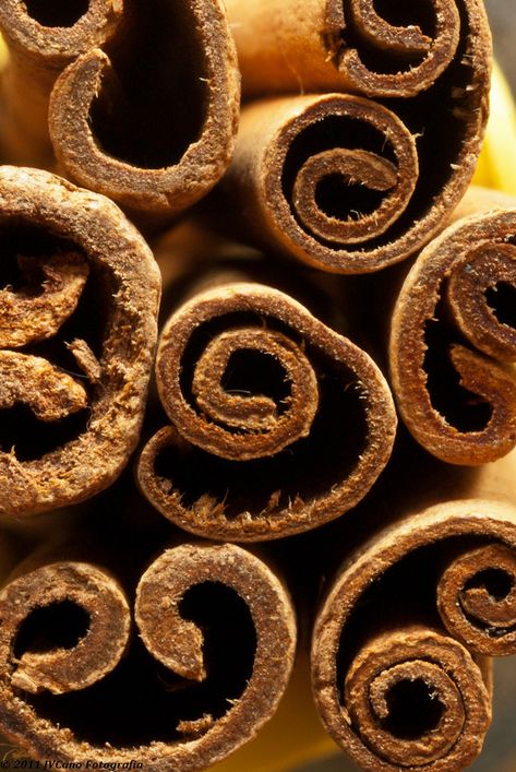 Fruits Photography, Spirals In Nature, Kek Lapis, Ceylon Cinnamon, Dinner Party Menu, Color Study, Fruit Photography, Still Life Photos, Cinnamon Spice