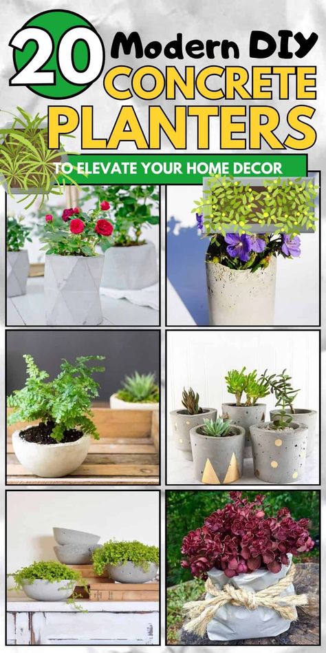 Add some chic, industrial flair to your plants with these DIY concrete planters. Perfect for any plant lover, these ideas allow you to create custom planters for your home or garden. Whether small or large, these concrete designs are both stylish and durable. Large Concrete Planters, Concrete Containers, Diy Concrete Planters, Custom Planters, Geometric Planter, Concrete Vases, Cement Pots, Trendy Diy, Concrete Molds