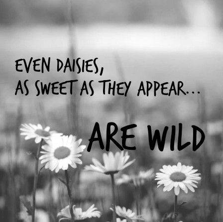 Wild As Her Quotes, Wild Daughter Quotes, Live Wild Quotes, Wanderlust Quotes Free Spirit, Wild Woman Quotes Free Spirit, Finally Free Quotes, Nature Quotes Adventure Wild And Free, Free Spirit Quotes Woman, Free Spirited Quotes