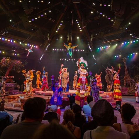 Disney Photographer on Instagram: “Let's give a round of applause to the Festival of the Lion King finale this Friday · · Animal kingdom has great live shows! Between Lion…” Festival Of The Lion King, Lion King Show, Round Of Applause, Happiest Place On Earth, The Lion King, Disney Dream, Disney Trip, Live Show, The Festival