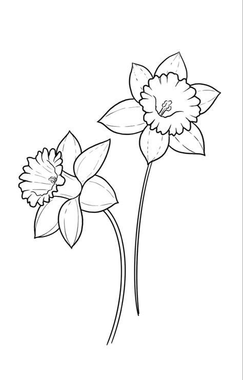 Daffodil Tattoo Stencil, Dafadills Tattoo Design, Dafodill Flowers Drawing, Daffodil Outline, Orchid Outline, Daffodils Tattoo, Boho Canvas Art, Optical Illusion Tattoos, Illusion Tattoos